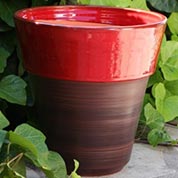 poterie eucalyptus - terre d-afrique